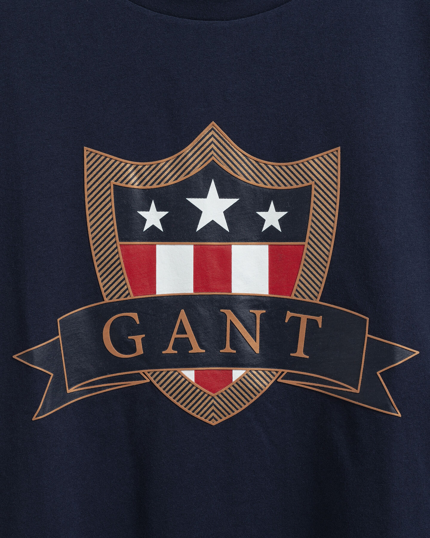 Camiseta Banner Shield Teens