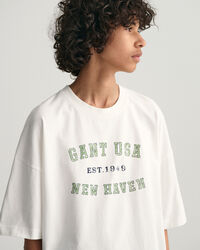 Camiseta USA Graphic Teen Boys
