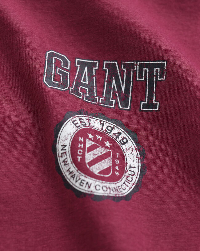 Camiseta Graphic Teens