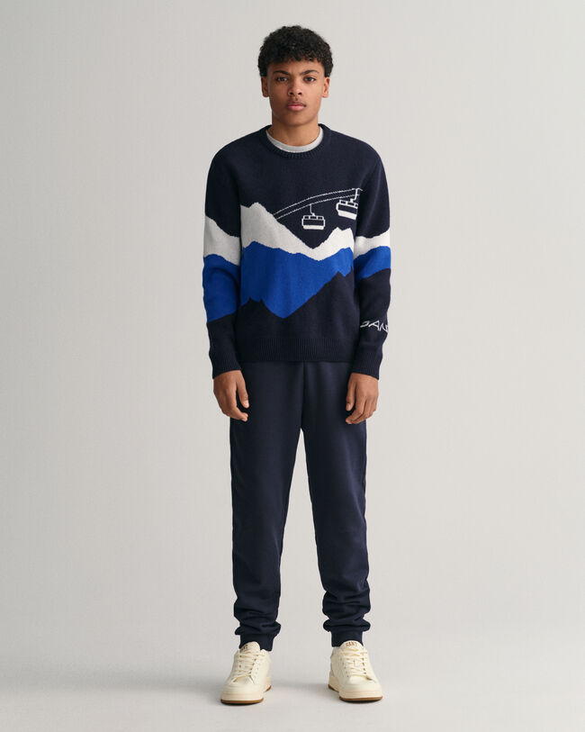 Jersey de cuello redondo Alpine Jacquard Teens