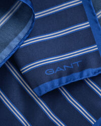 Pañuelo de bolsillo de rayas