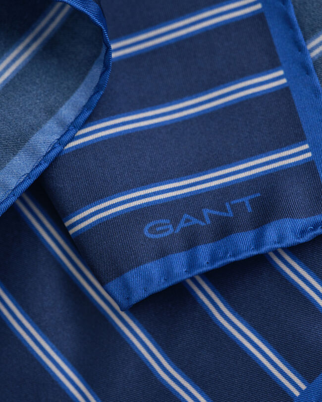 Pañuelo de bolsillo de rayas