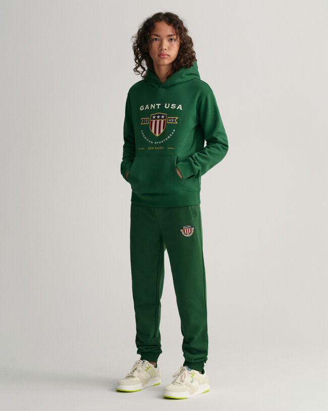 Sudadera con capucha Banner Shield Teens