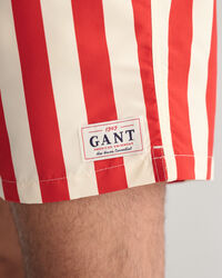 Bañador de rayas en bloque