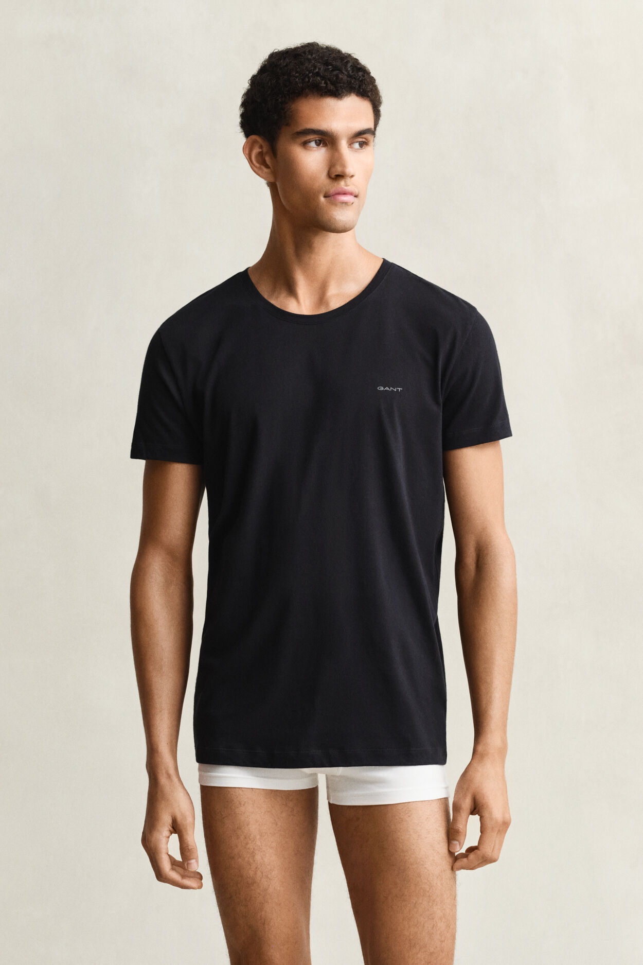 Paquete de dos camisetas de cuello redondo