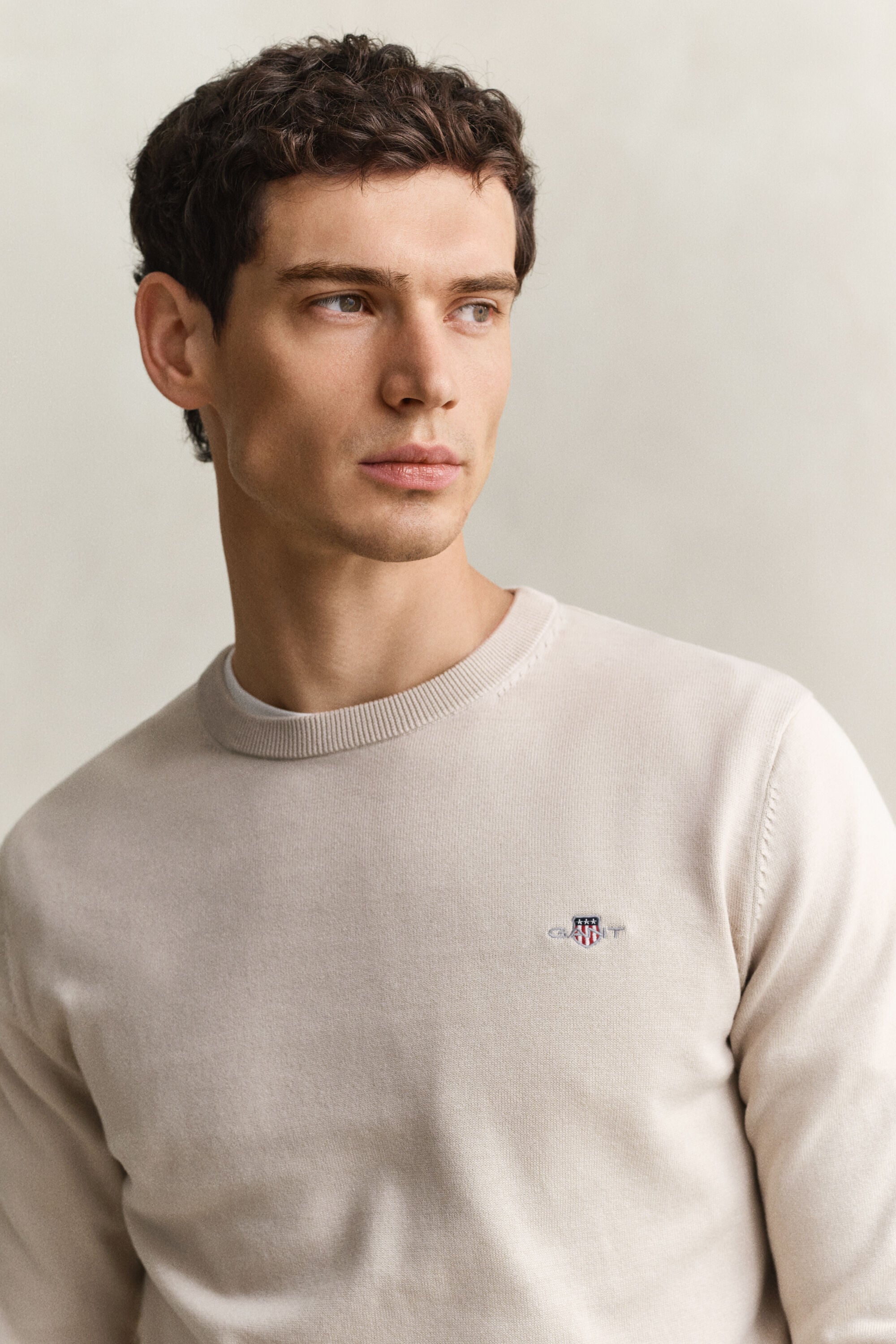 Jersey clásico de algodón con cuello redondo