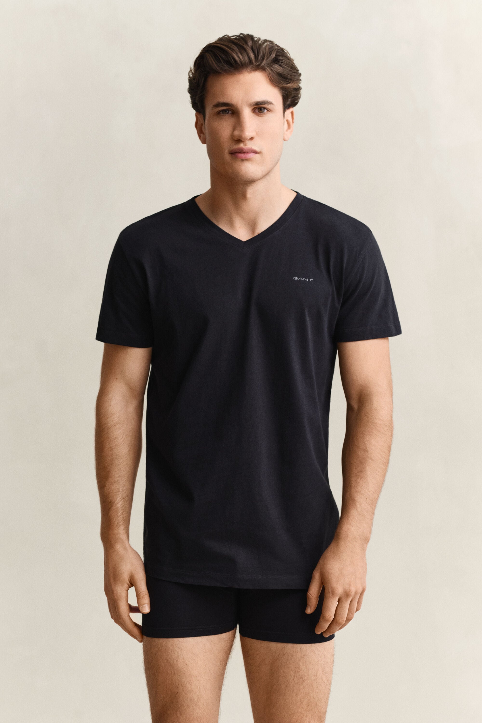 Paquete de dos camisetas de cuello de pico