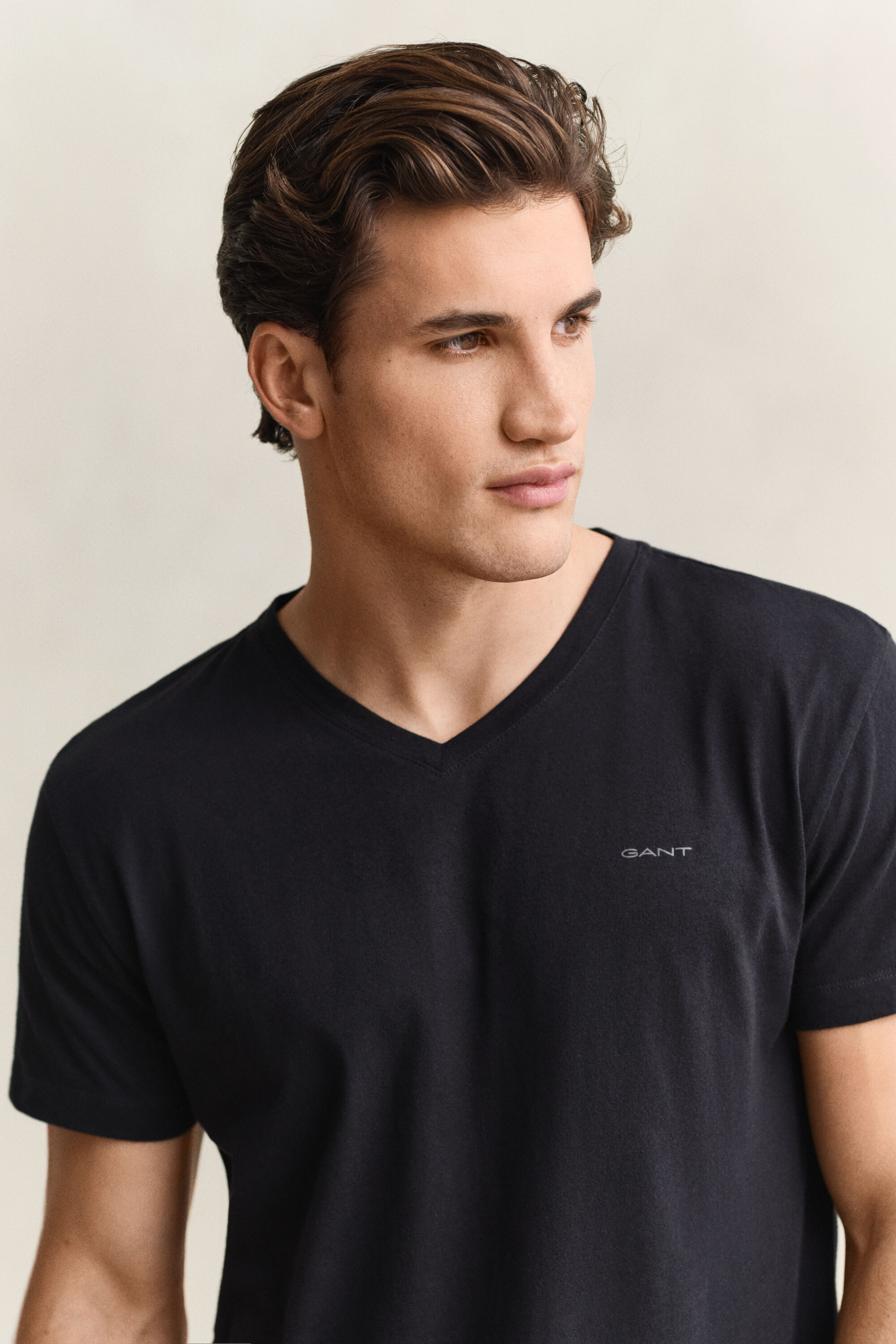 Paquete de dos camisetas de cuello de pico