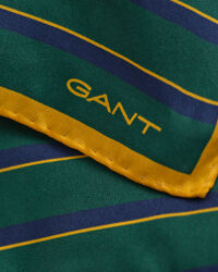 Pañuelo de bolsillo de rayas