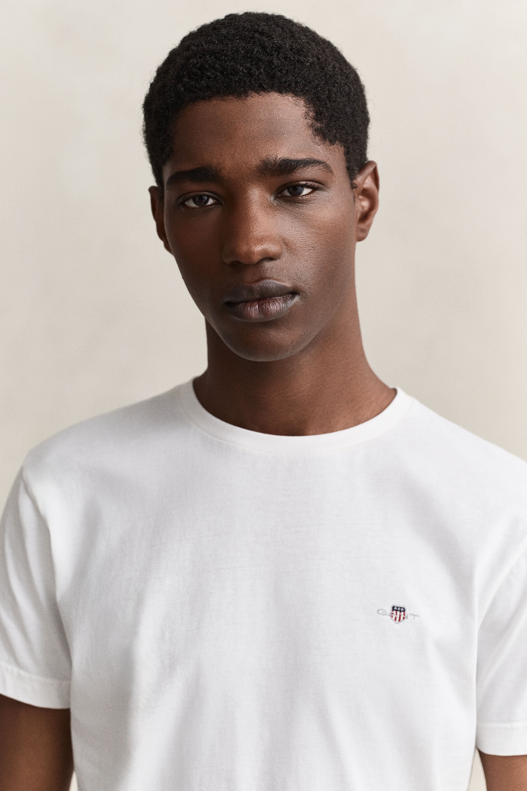 Camiseta Slim Fit Shield