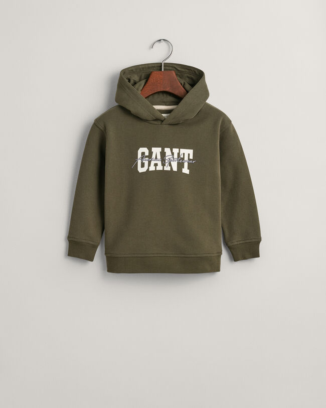 Sudadera con capucha GANT Arch Script Kids