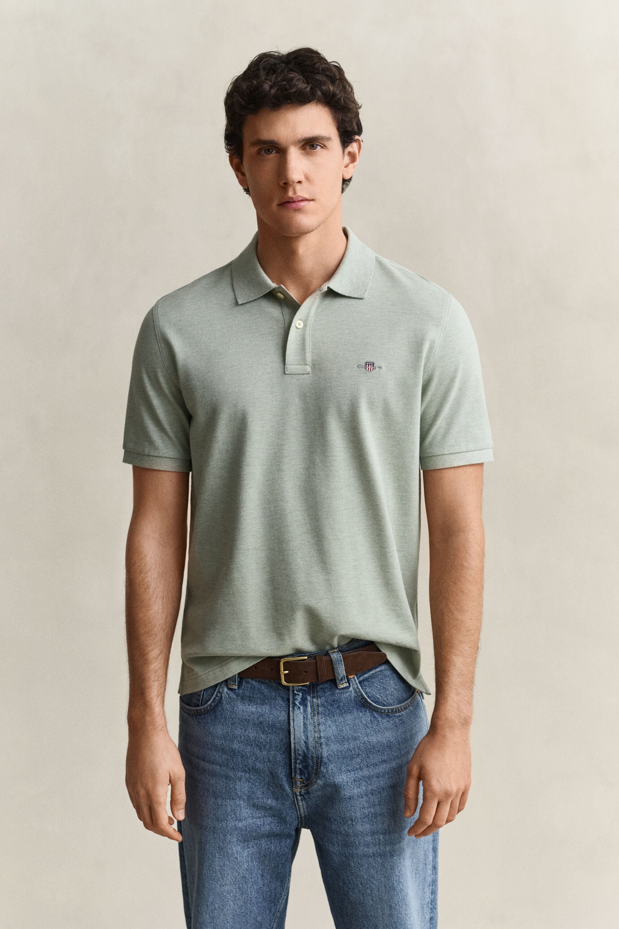 Polo Regular Fit clásico