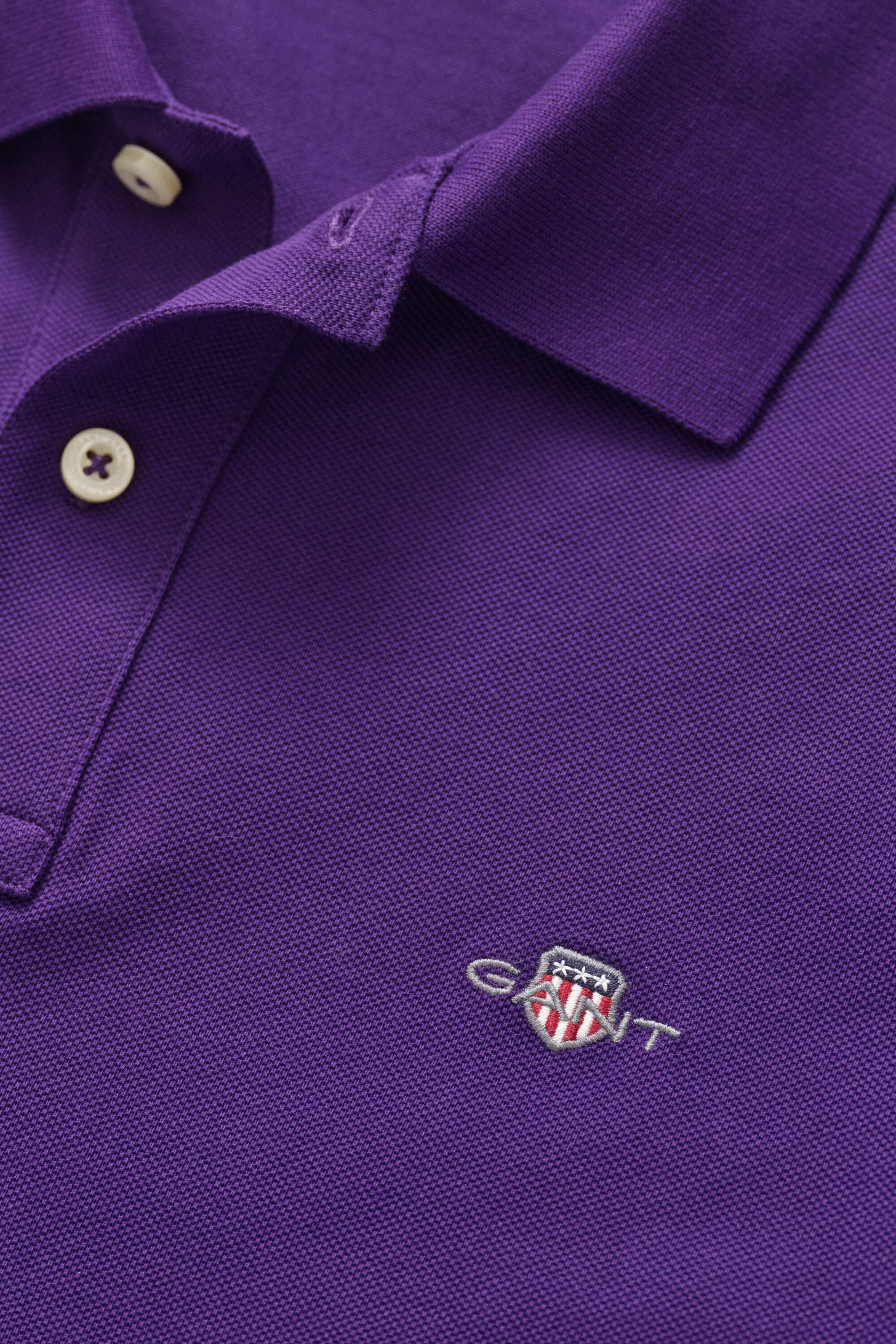 Polo Regular Fit clásico