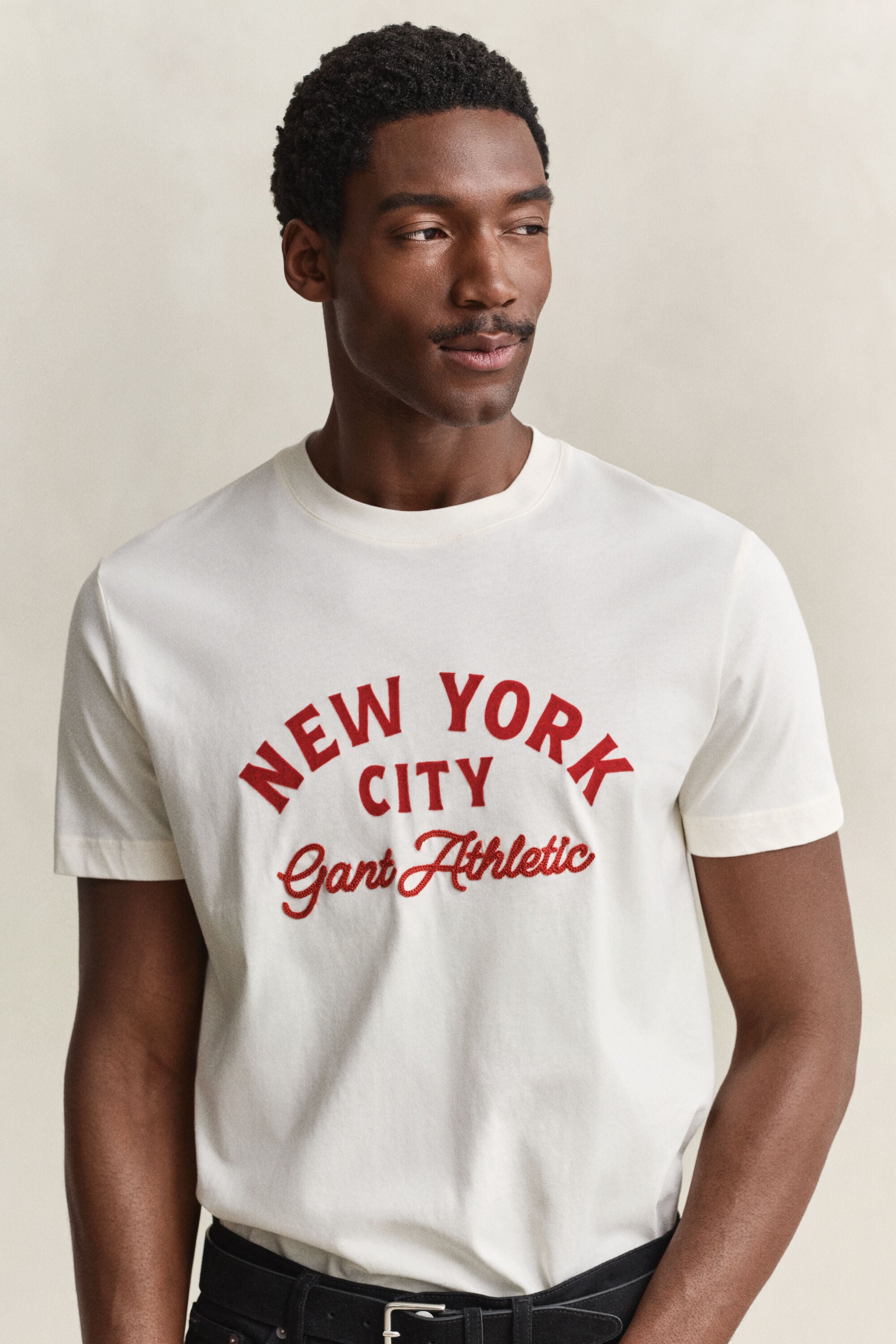 Camiseta Graphic