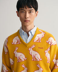 Jersey de cuello de pico Lunar New Year
