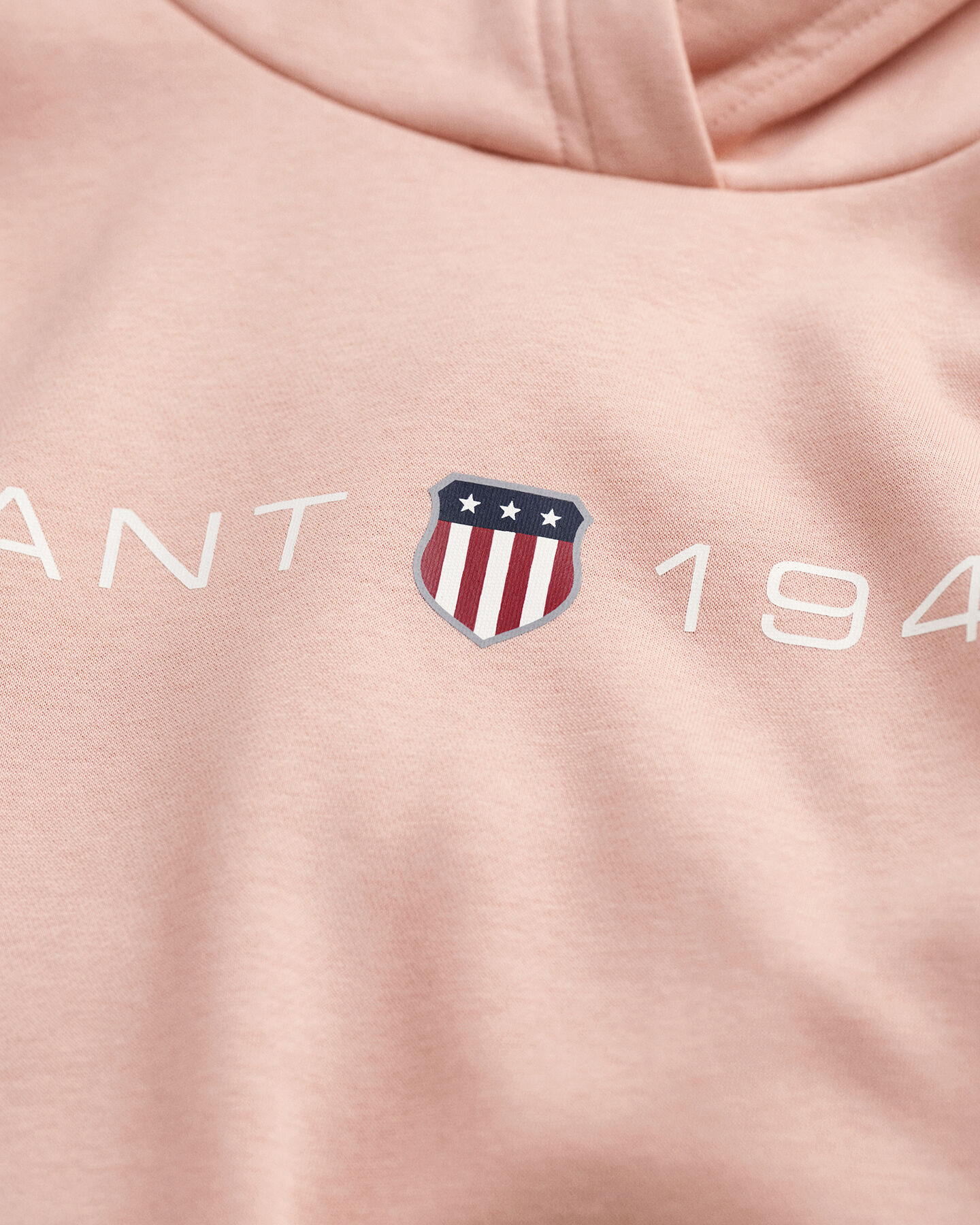 Sudadera con capucha estampada Archive Shield