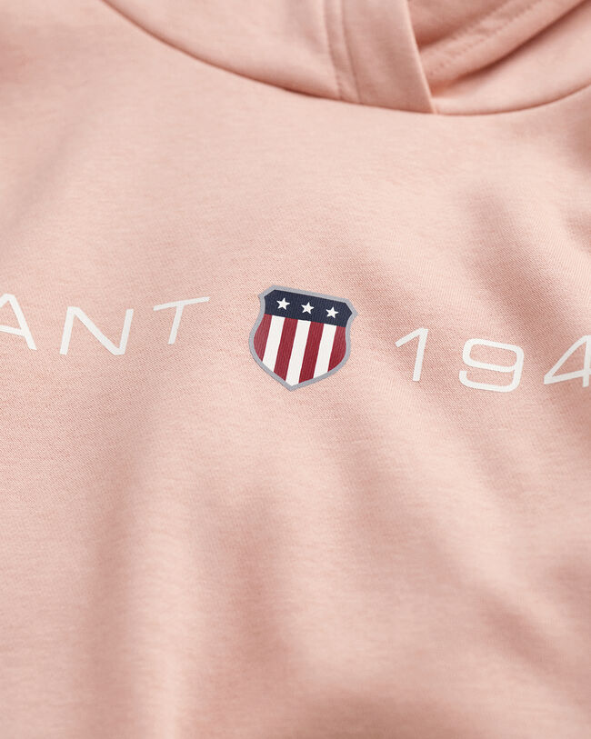 Sudadera con capucha estampada Archive Shield