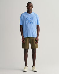 Camiseta GANT USA Sunfaded