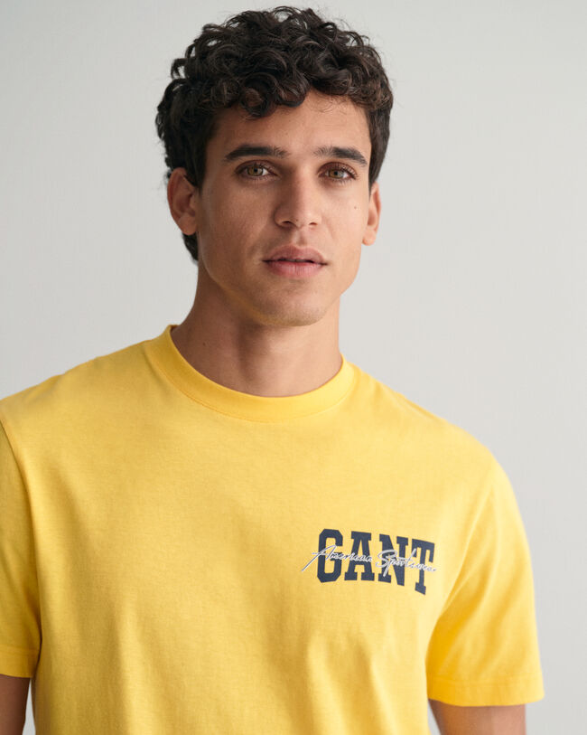 Camiseta GANT Arch Script Graphic