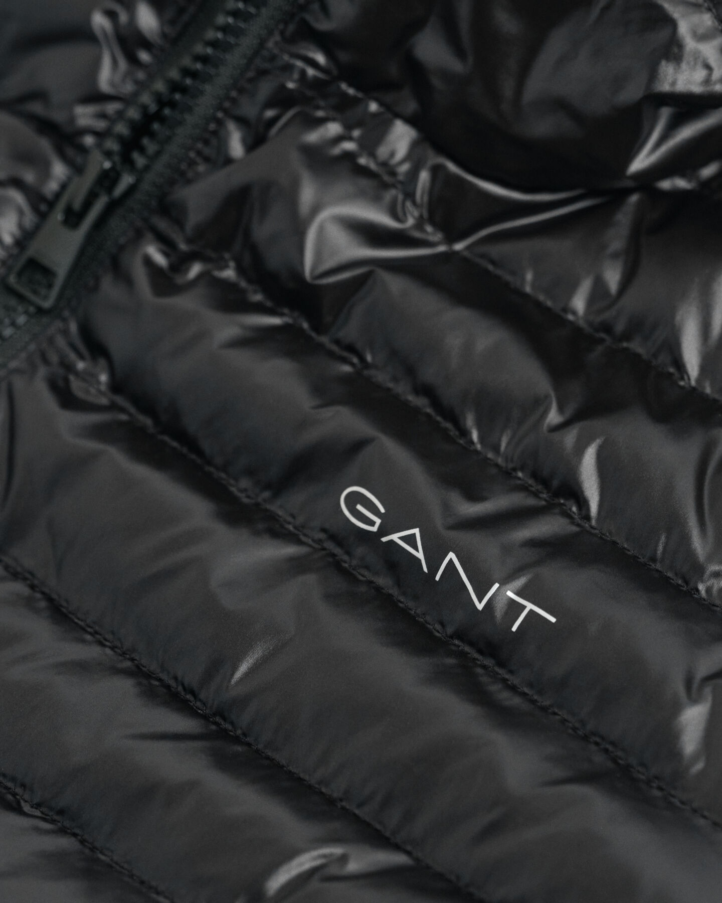 Chaqueta acolchada ligera Shiny Teens