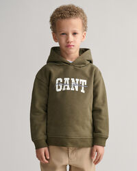 Sudadera con capucha GANT Arch Script Kids