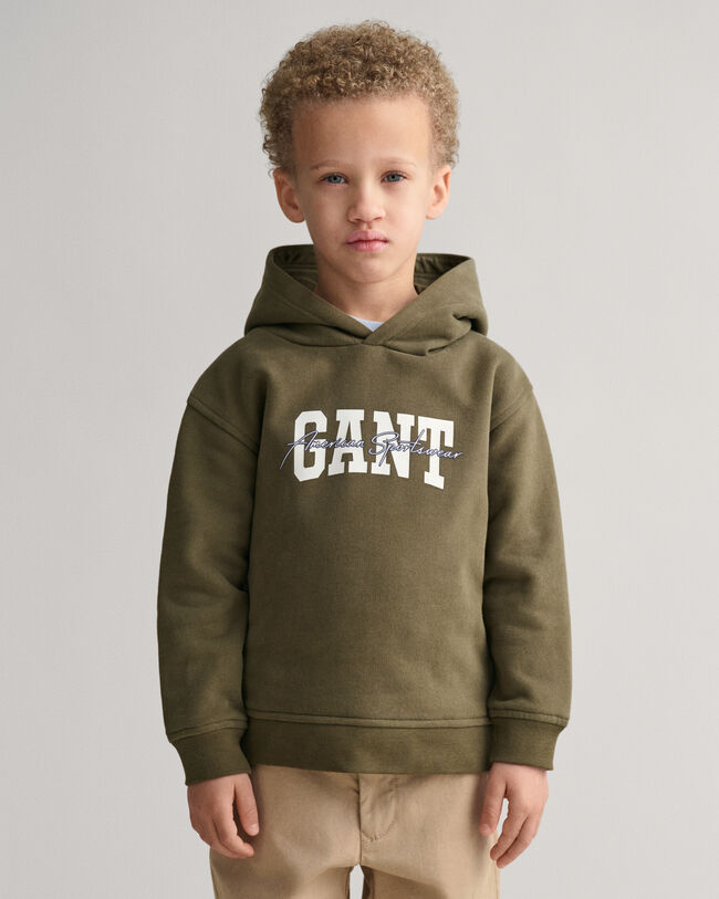 Sudadera con capucha GANT Arch Script Kids