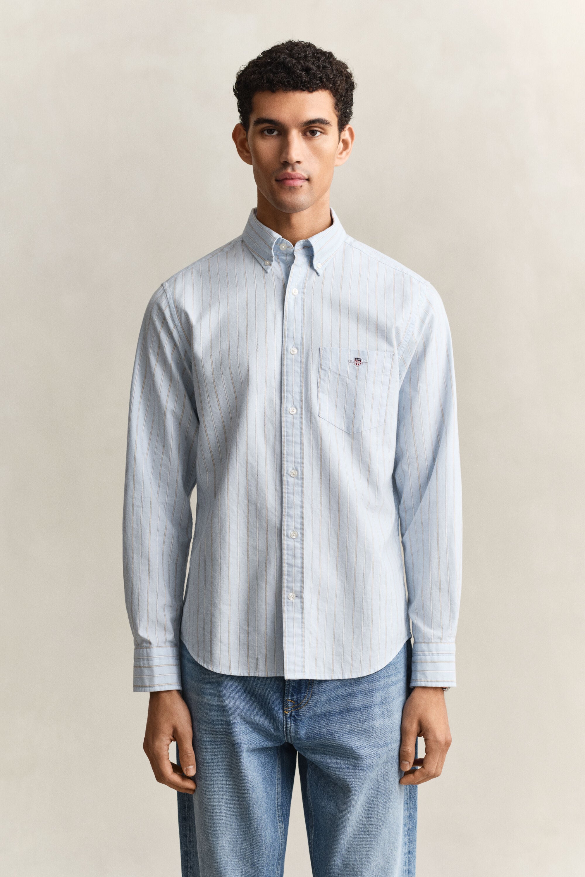 Camisa Oxford clásica a rayas