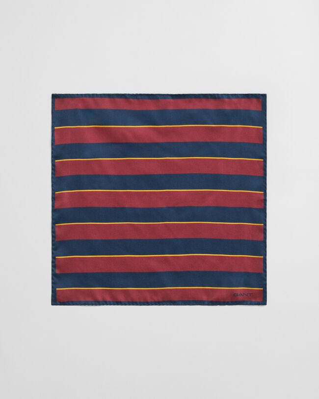 Pañuelo de bolsillo de rayas