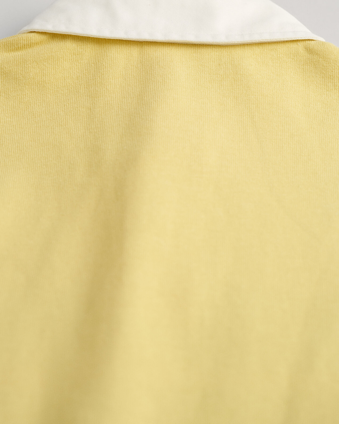 Rugger con bloques de color