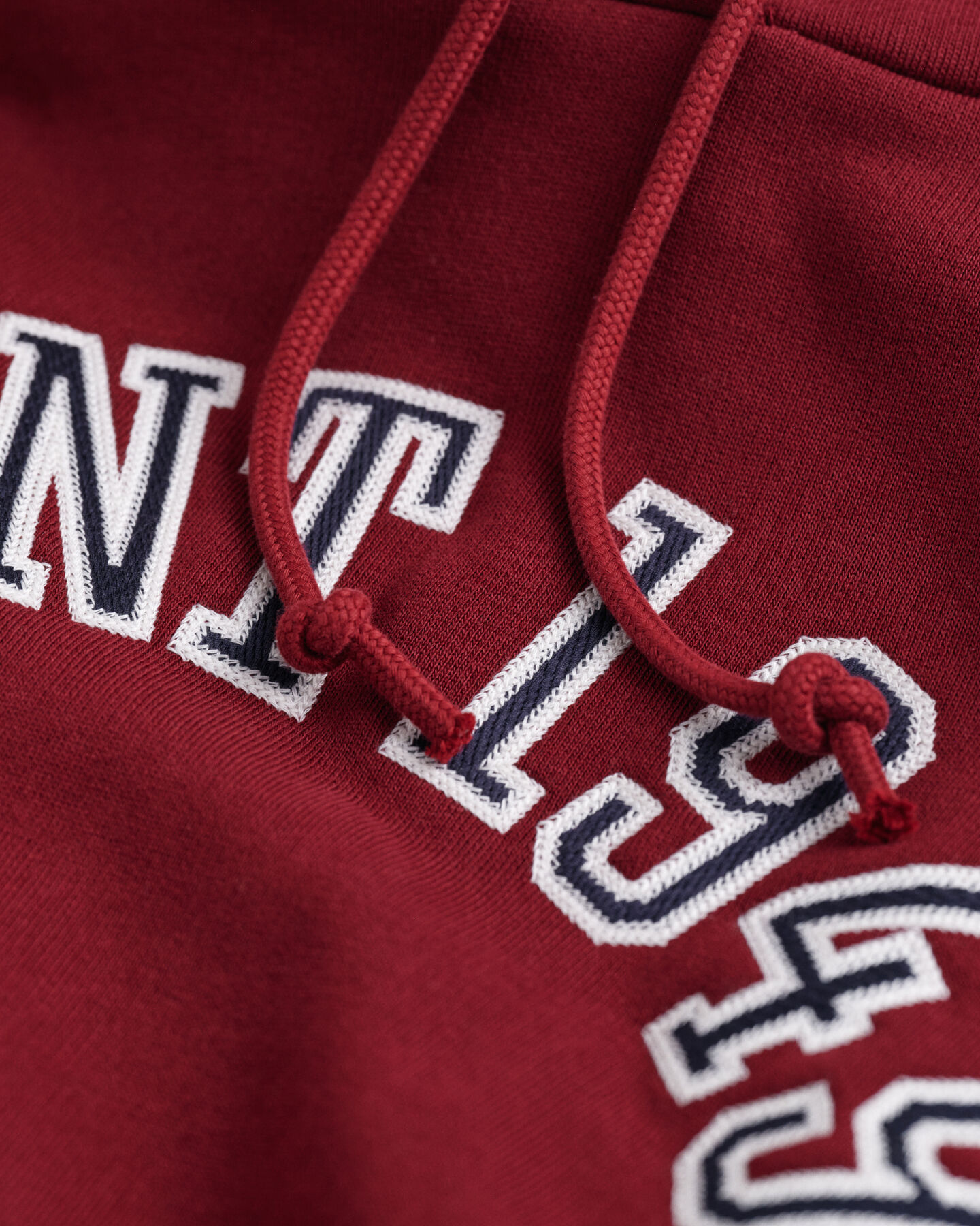 Sudadera con capucha GANT 1949 Arch Graphic