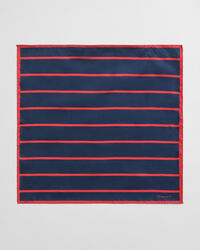 Pañuelo de bolsillo de rayas