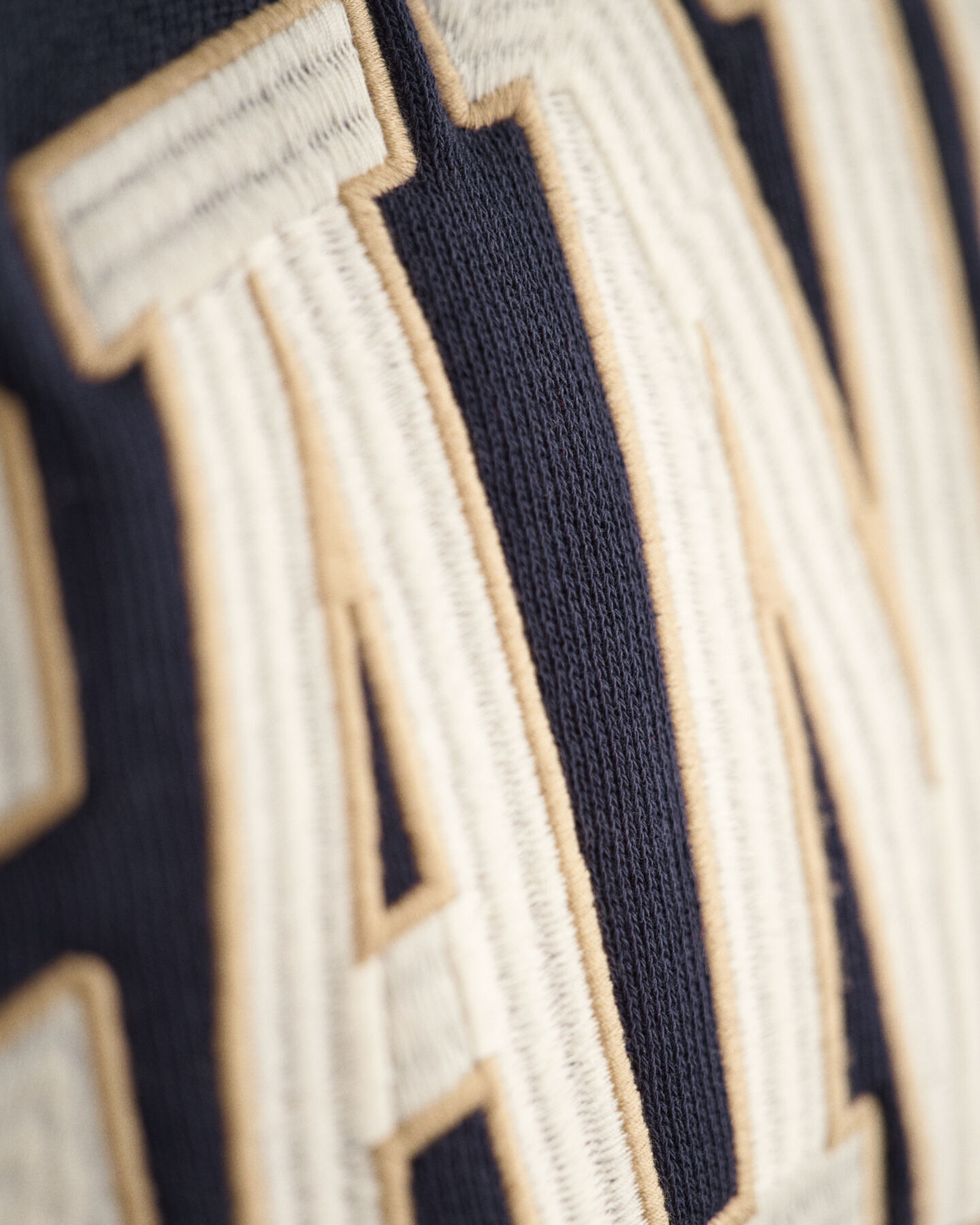 Sudadera con capucha USA Graphic