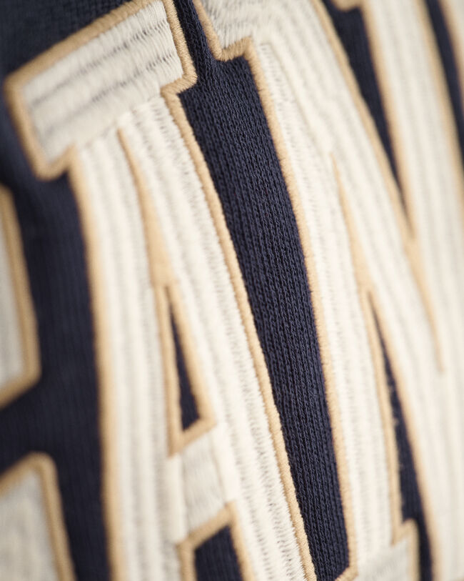 Sudadera con capucha USA Graphic