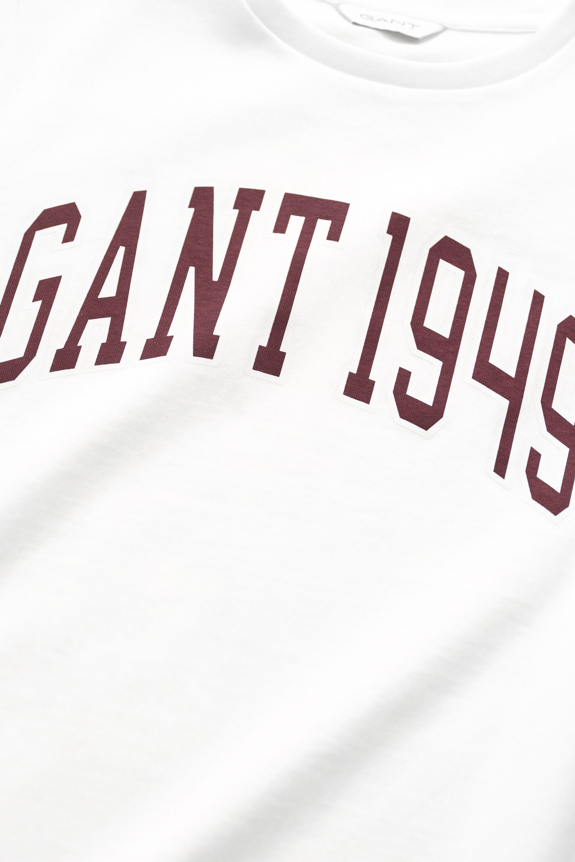 Camiseta Graphic