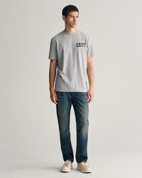 Camiseta GANT Arch Script Graphic