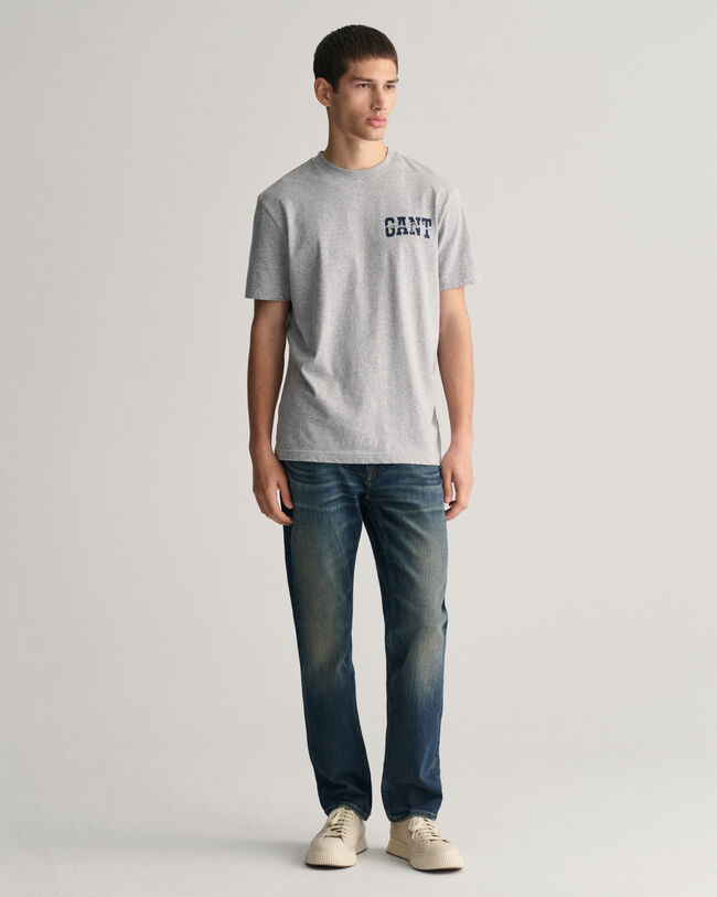 Camiseta GANT Arch Script Graphic