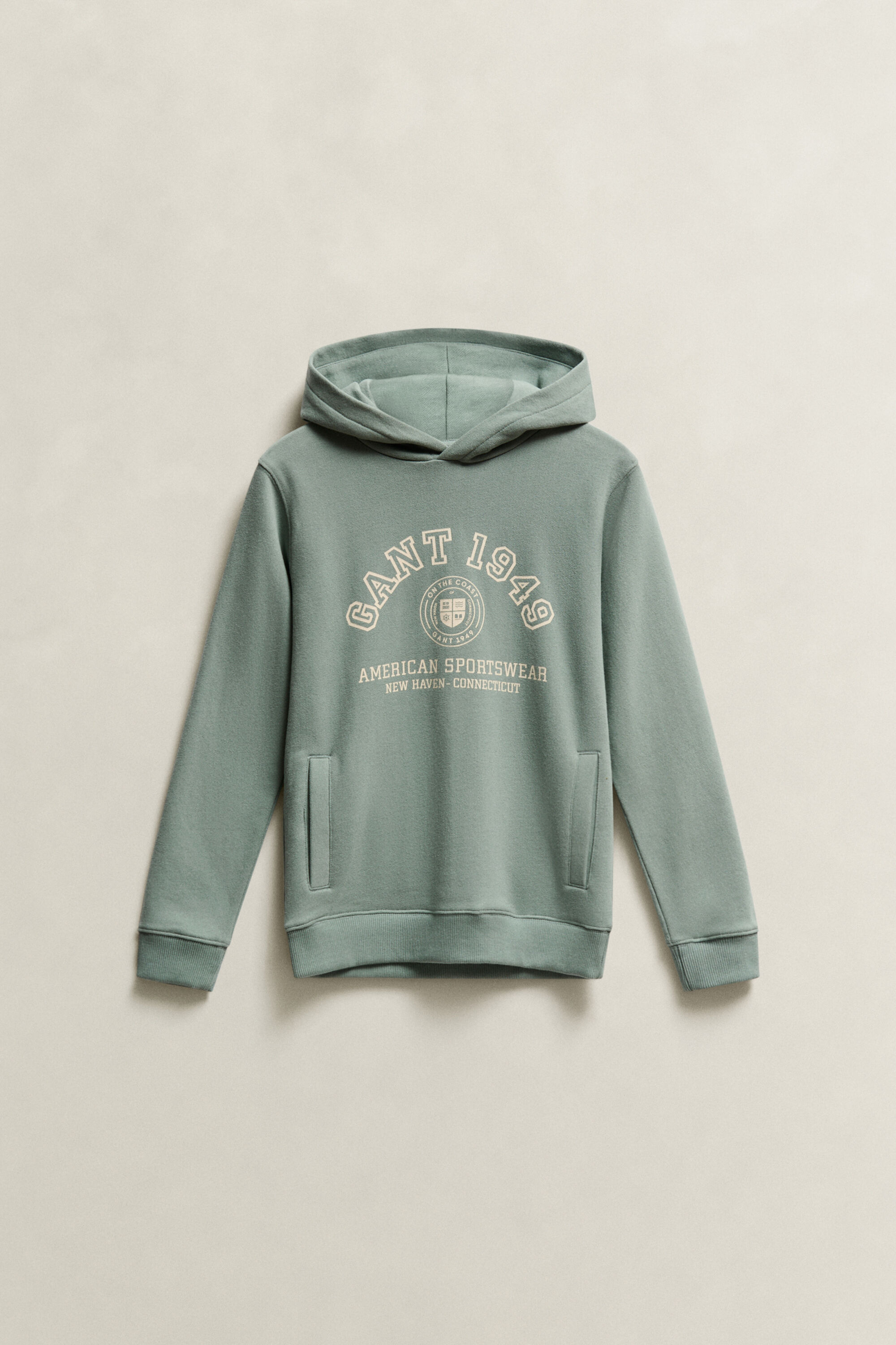 Sudadera con capucha y logotipo Collegiate Teen Boys