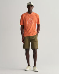 Camiseta GANT USA Sunfaded