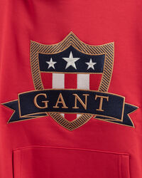 Sudadera con capucha Banner Shield Teens