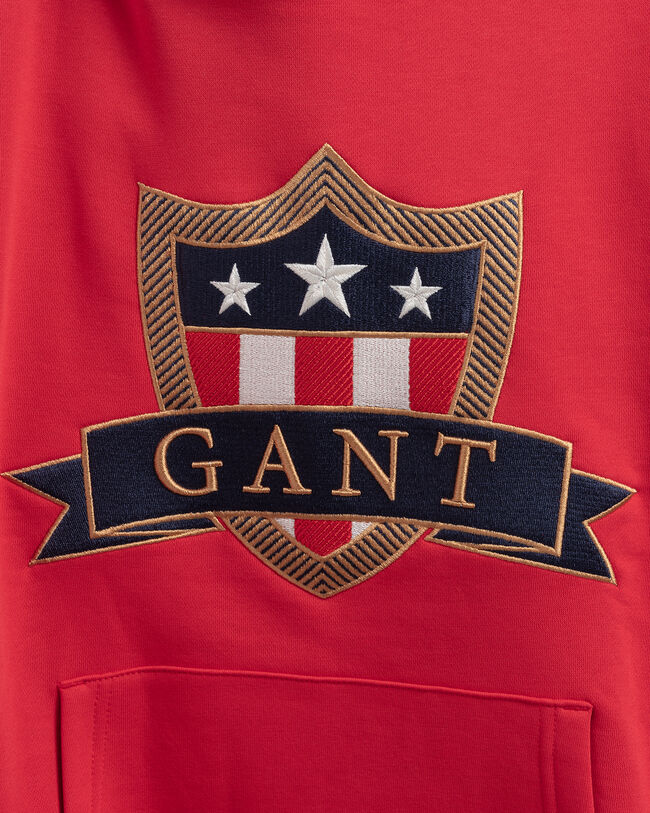 Sudadera con capucha Banner Shield Teens