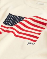 Jersey de cuello redondo y punto con bandera Teens
