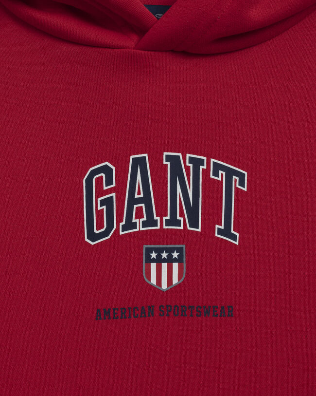 Sudadera con capucha Retro Shield Teens