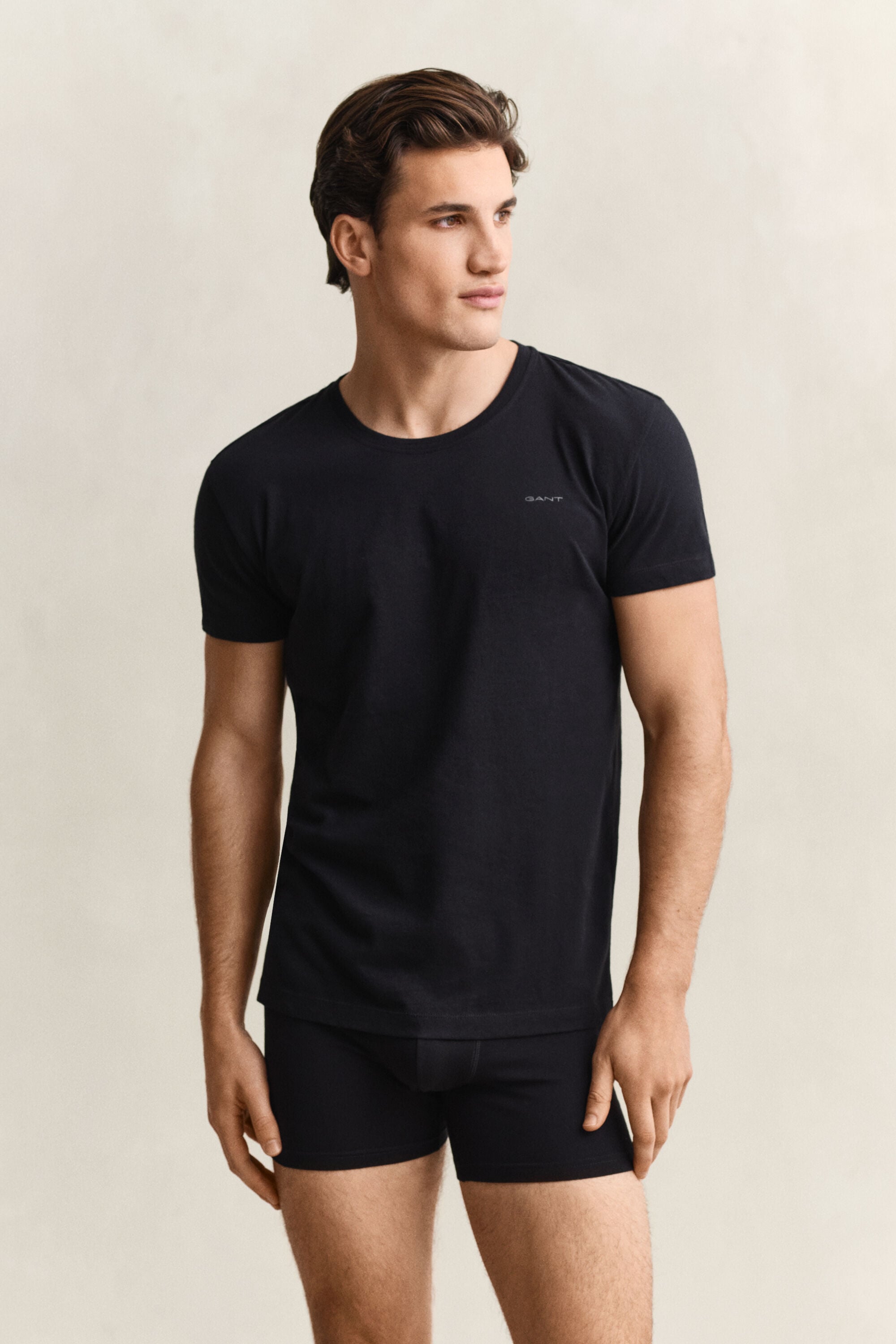 Paquete de dos camisetas de cuello redondo