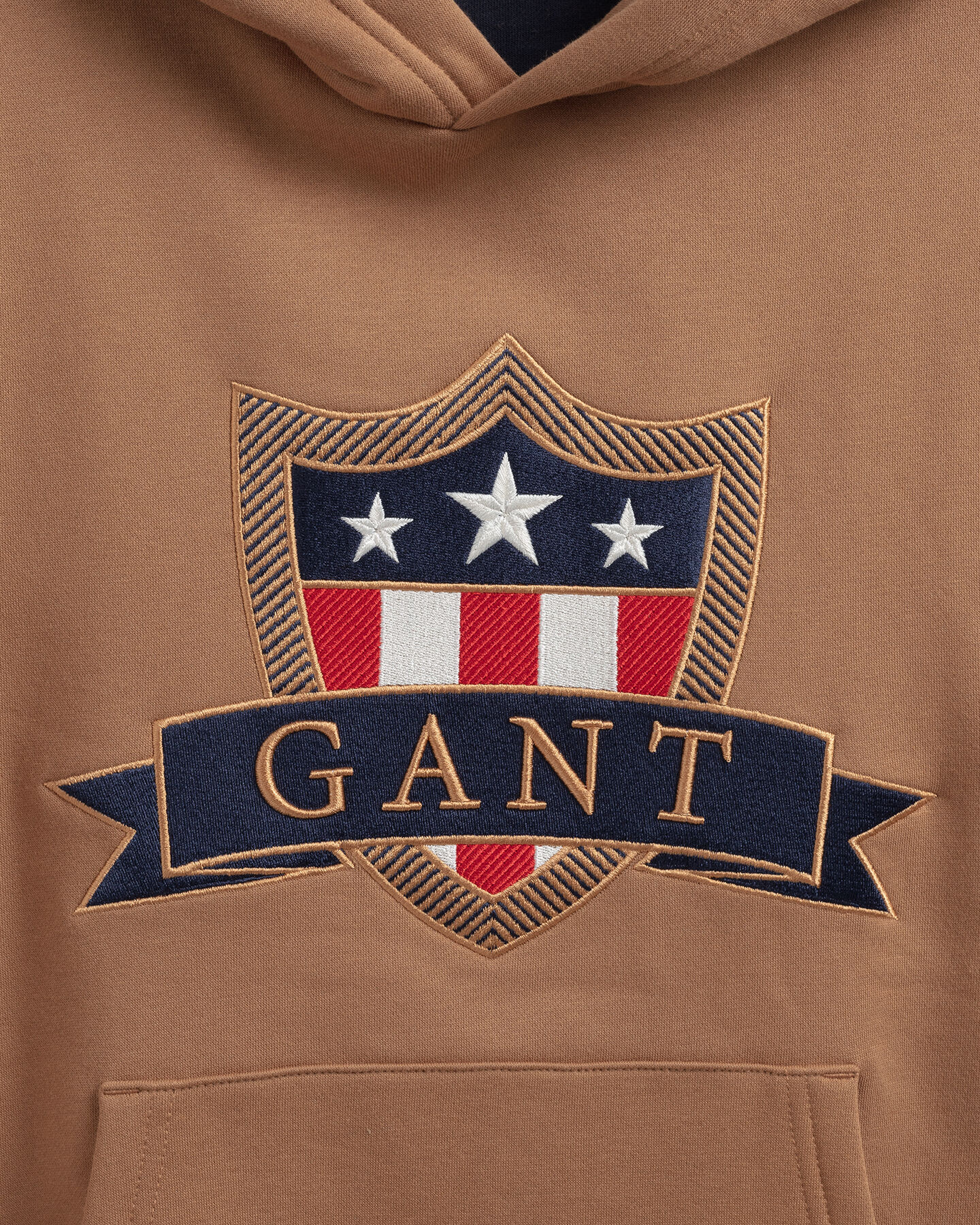 Sudadera con capucha Banner Shield Teens