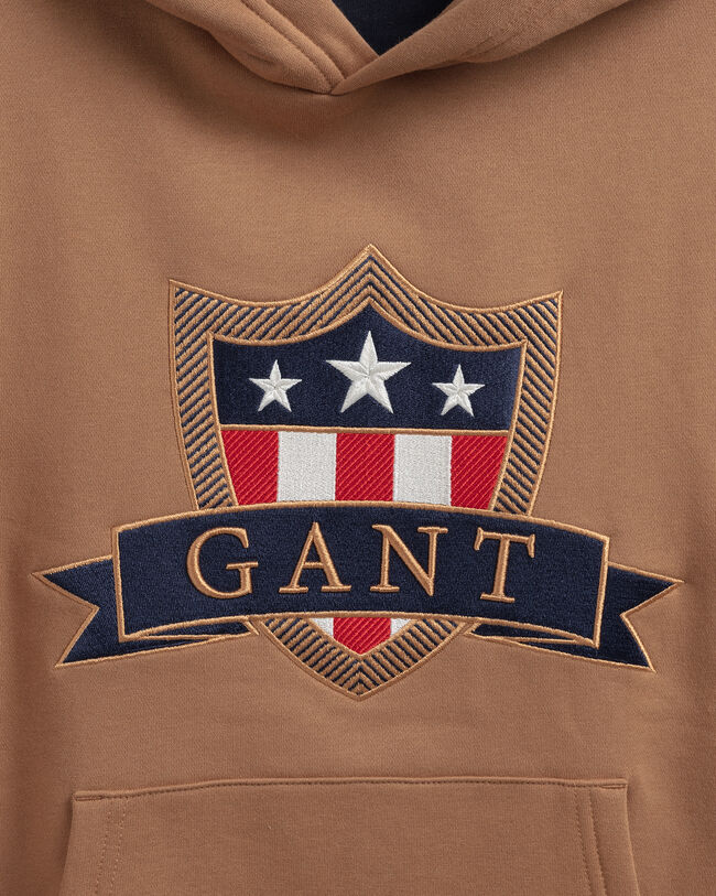 Sudadera con capucha Banner Shield Teens