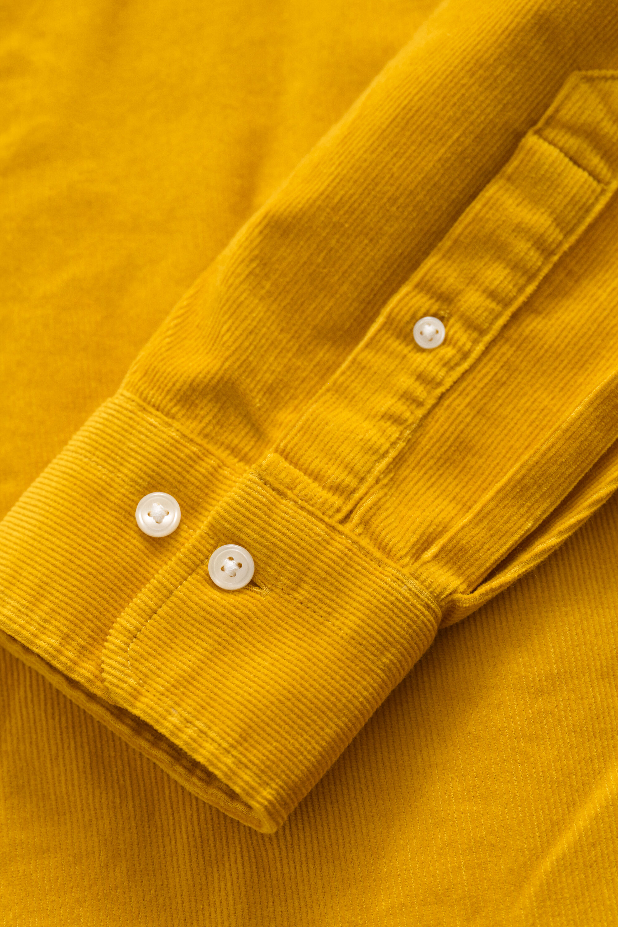 Camisa de pana