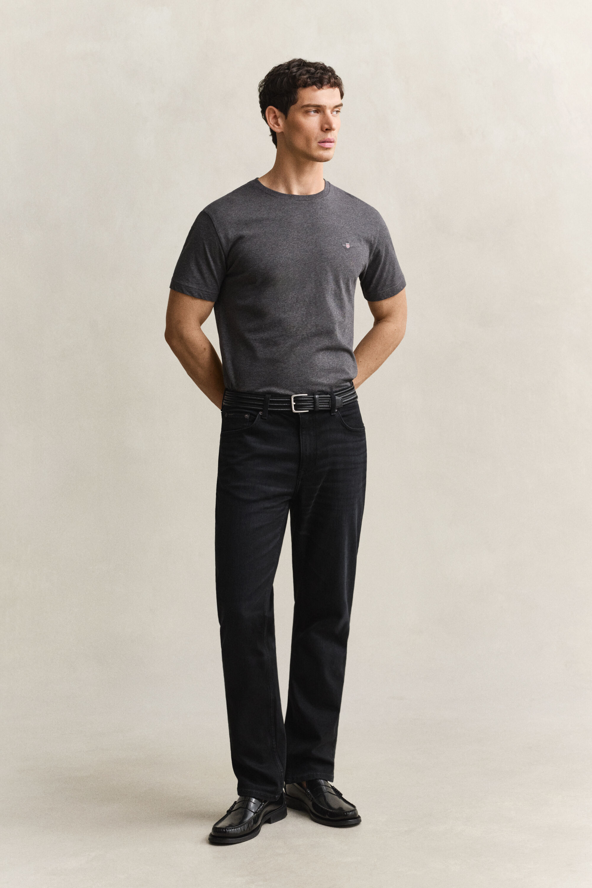Camiseta Regular Fit Shield
