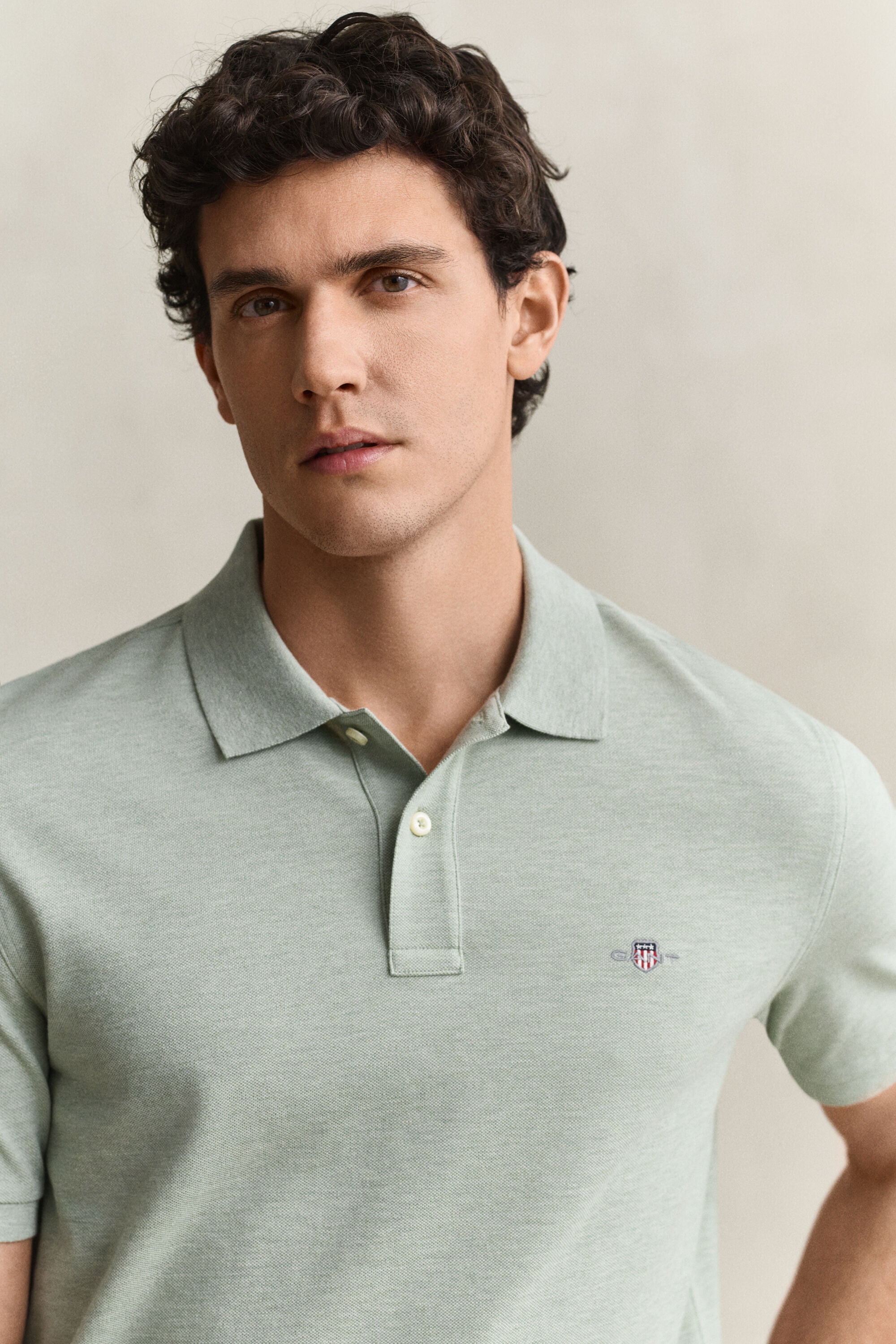 Polo Regular Fit clásico