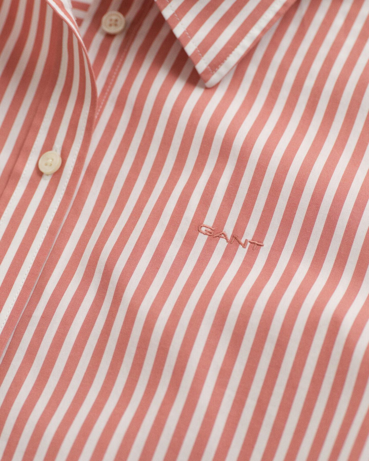 Camisa Regular Fit cl&aacute;sica de popelina a rayas