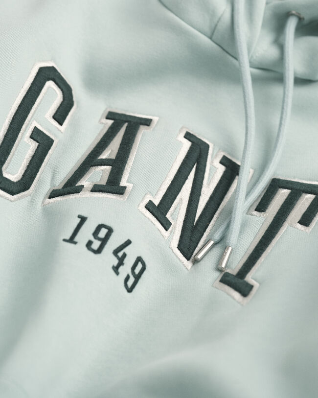 Sudadera con capucha GANT Graphic 